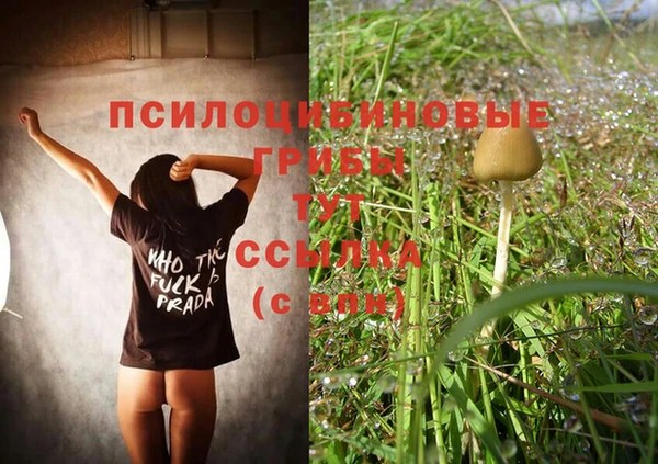 кокаин Заводоуковск