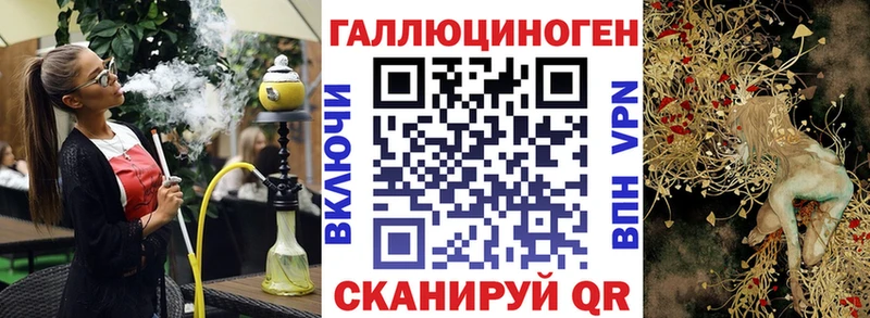 Купить закладки  Задонск  Псилоцибиновые грибы Psilocybe 